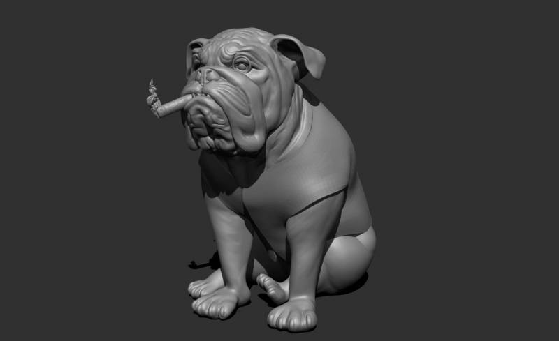Un bulldog
